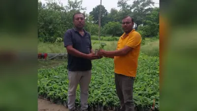 अगले सप्ताह किसानों को मिलेगा आम पौधा
