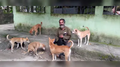 नफरत के इस दौर में जानवर से प्यार, हर दिन खिलाते हैं कुत्तों को आहार