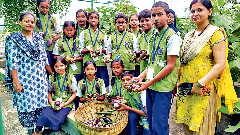 नेपाली पाड़ा स्कूल की छत पर उगायी जा रही सब्जी