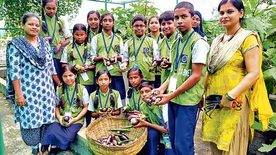नेपाली पाड़ा स्कूल की छत पर उगायी जा रही सब्जी