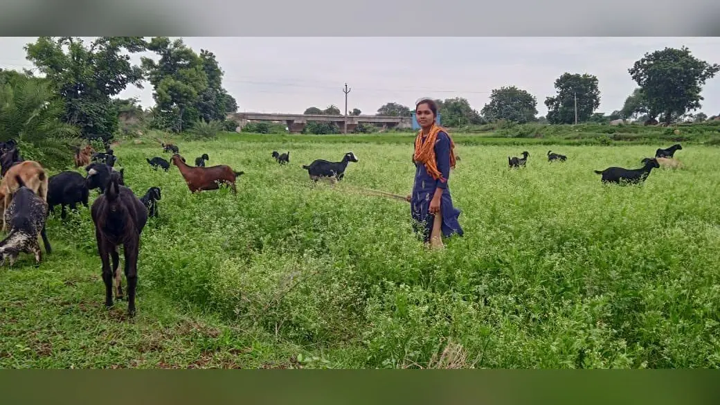 कैंपस : आइआइटी पटना में सीट पाने के बावजूद तंगी के कारण चरा रही थीं बकरियां, अब संस्थान ने सभी फीस माफ की