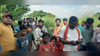 सिकरहना और करताहां नदी के सहारे ठिकाना बदल रहा बाघ, जंगल में लौटाने की कोशिश
