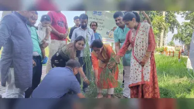 जीवन के लिए पेड़-पौधे लगाना अनिवार्य : एसडीओ