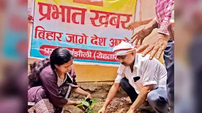 पौधा लगाने से नया जीवन व स्वच्छ पर्यावरण मिलेगा : सीओ