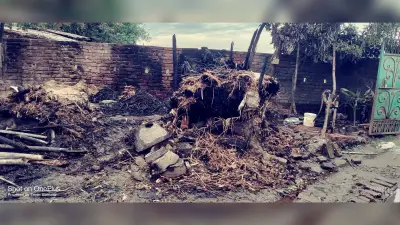 गारत बस्ती में लगी आग में चार मवेशी की मौत