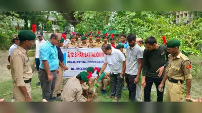 कॉलेज परिसर में लगाये गये फलदार पौधे