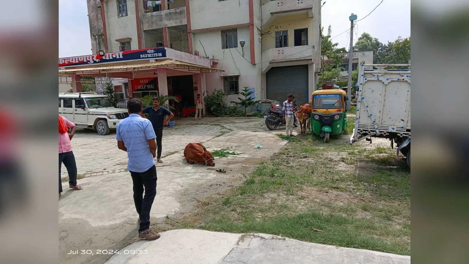 तस्करी को जा रहे पशु बरामद, पुलिस पर पथराव, दो तस्कर गिरफ्तार