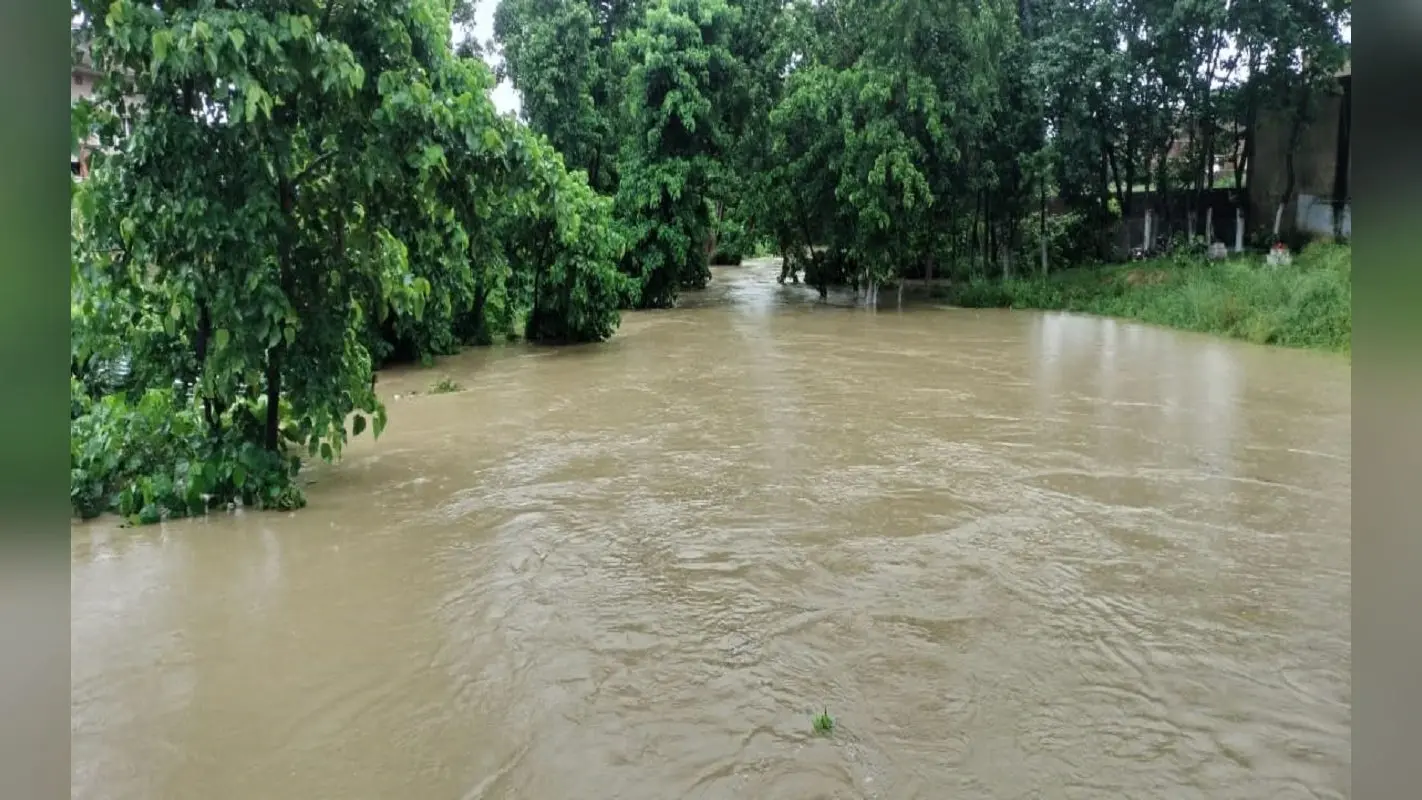 Bihar Flood: नालंदा में लोकायन नदी का पश्चिमी तटबंध टूटा, आधा दर्जन भर गांव डूबे