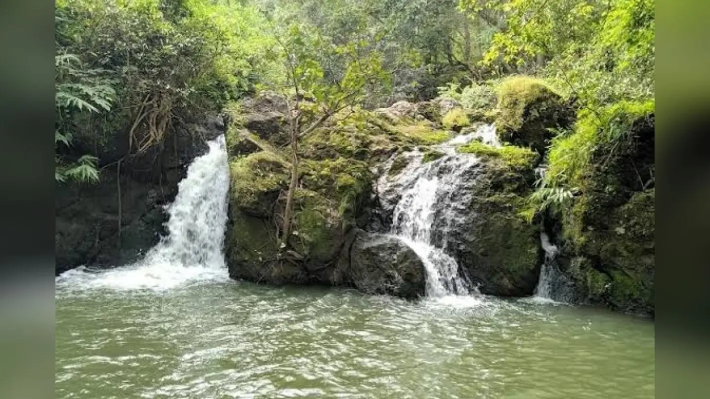 Jharkhand Tourism: नेतरहाट के मनमोहक दृश्यों के बीच मौजूद है यह खूबसूरत झरना
