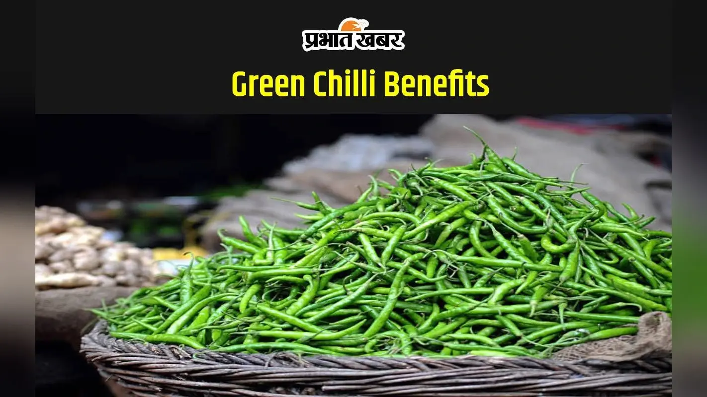 Green Chilli Benefits: हरी मिर्च सेहत के लिए क्यों है फायदेमंद, लेकिन खाने में न करें ऐसी गलती