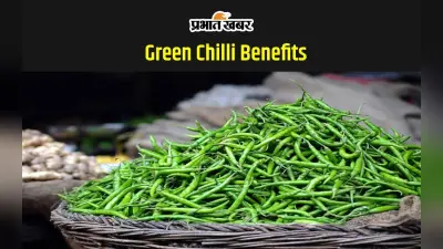 Green Chilli Benefits: हरी मिर्च सेहत के लिए क्यों है फायदेमंद, लेकिन खाने में न करें ऐसी गलती