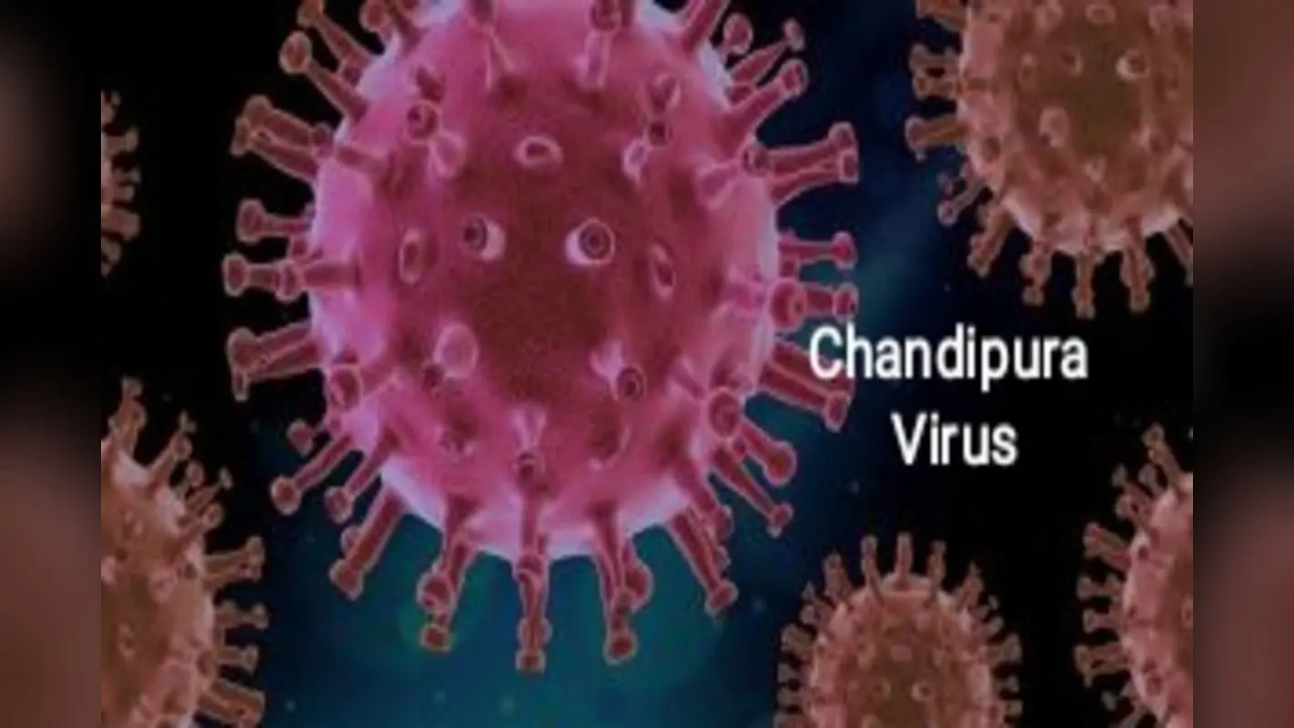 Gujarat Chandipura Virus : क्या है चांदीपुरा वायरस ? जानिए कैसे बनाता है बच्चों को अपना शिकार?