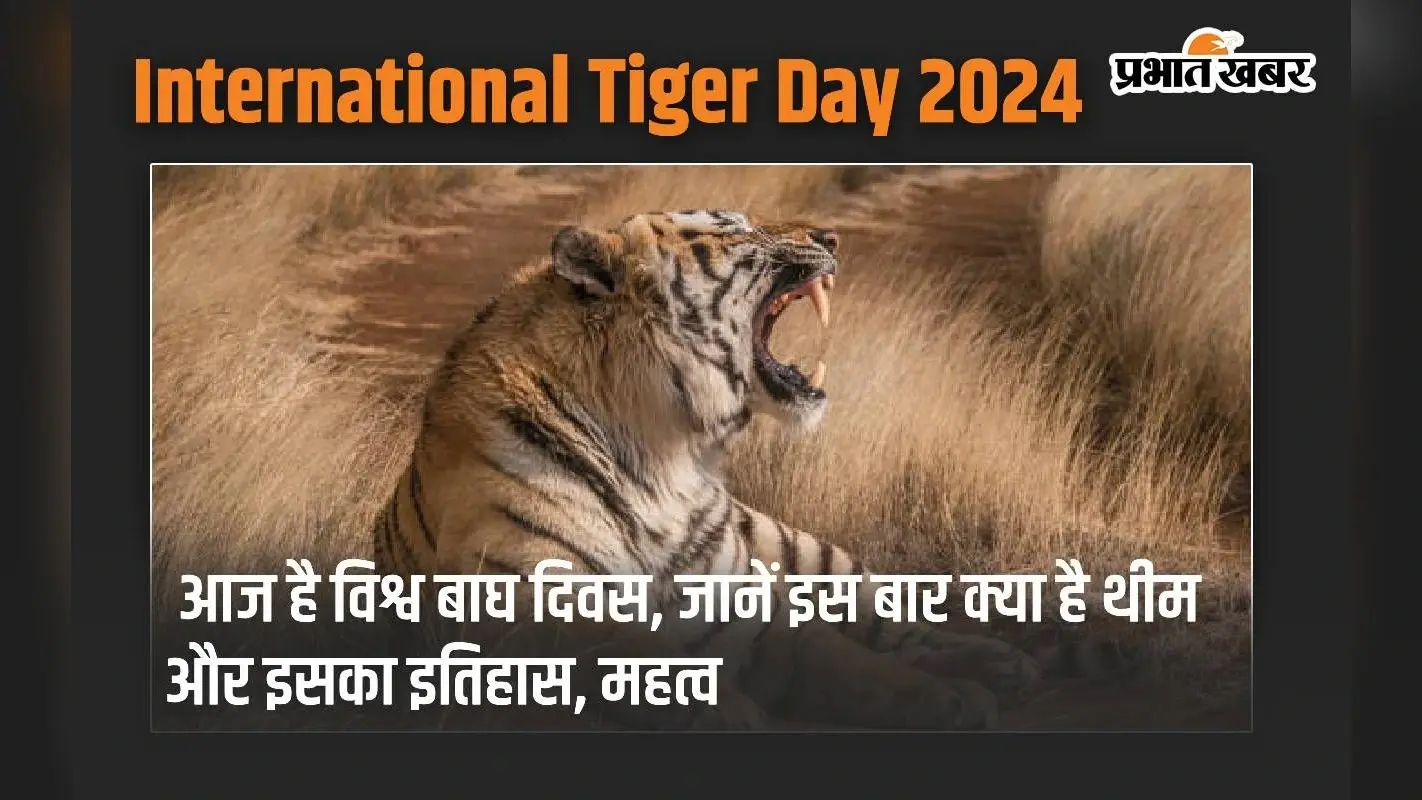 International Tiger Day 2024: आज है विश्व बाघ दिवस, जानें इस बार क्या है थीम और इसका इतिहास, महत्व