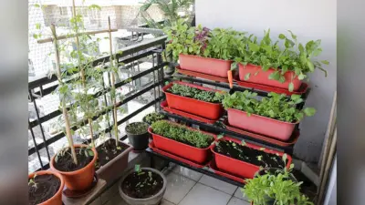 Monsoon Gardening: बरसात के मौसम में अपने गार्डन में करें इन सब्जियों की खेती