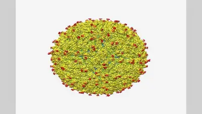 Japanese Virus : जापान में फैल रहा है यह संक्रमण? संक्रमित लोग वर्षों से इस बारे में हैं अनजान