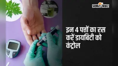 Leaf Juice Benefits: इन 4 पत्तों का रस पीकर करें डायबिटीज को जड़ से खत्म