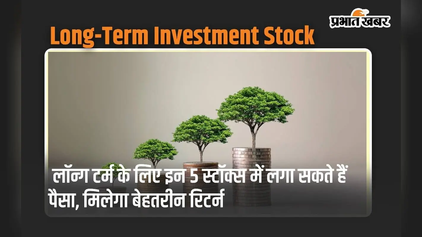 लॉन्ग टर्म के लिए इन 5 स्टॉक्स में लगा सकते हैं पैसा, मिलेगा बेहतरीन रिटर्न