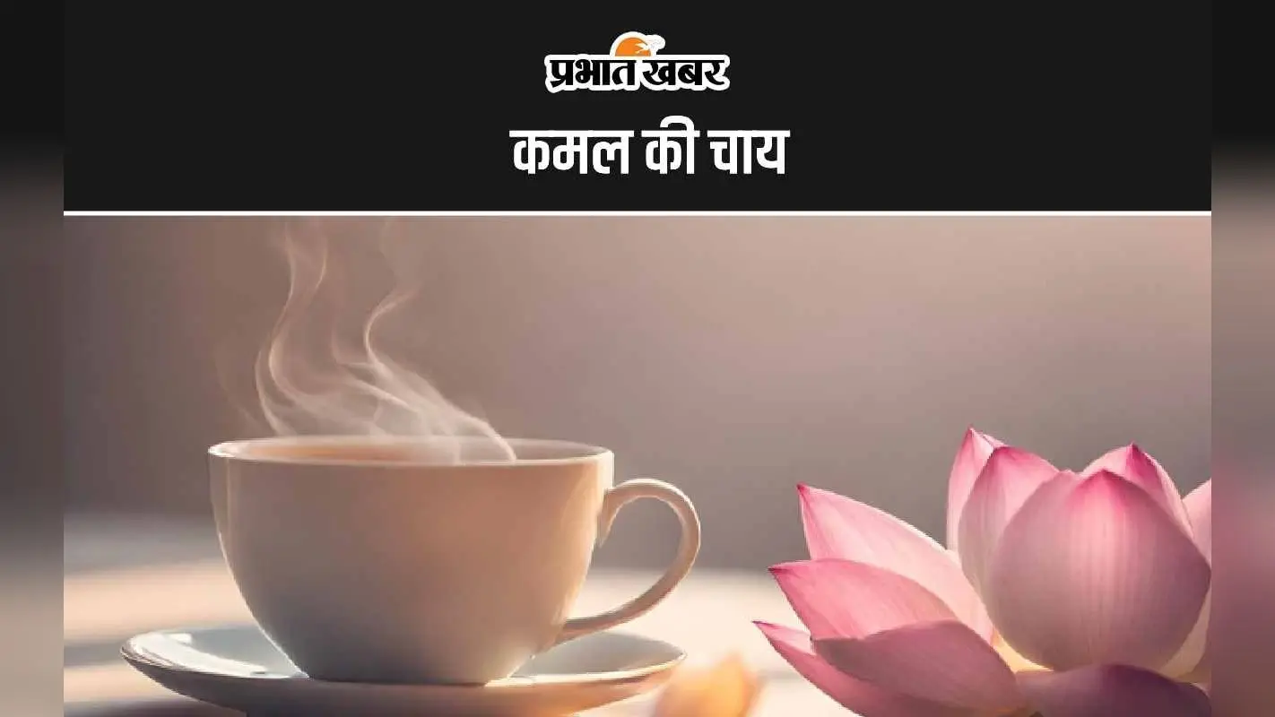 Lotus Tea: इस तरह से बनाकर पिएं कमल की चाय, जानिए इसके फायदे