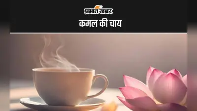 Lotus Tea: इस तरह से बनाकर पिएं कमल की चाय, जानिए इसके फायदे