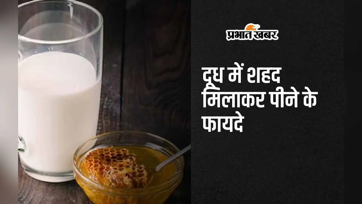 Milk With Honey: दूध में मिलाकर पिएं शहद, शरीर को मिलेंगे 5 अद्भुत फायदे