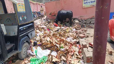 Gaya News: सड़कों पर फैला कचरा, नगर निगम कार्यालय में लगा रहा ताला