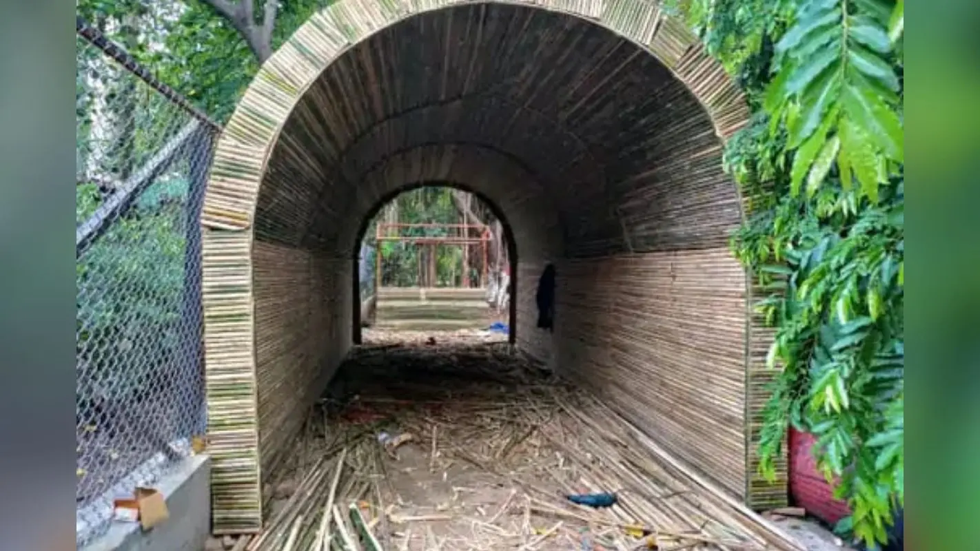 पटना में असम के ‘मुरली बांस’ से बनाई जा रही पहली ओपन नेचर लाइब्रेरी, हरियाणा से बुलाये गए कारीगर