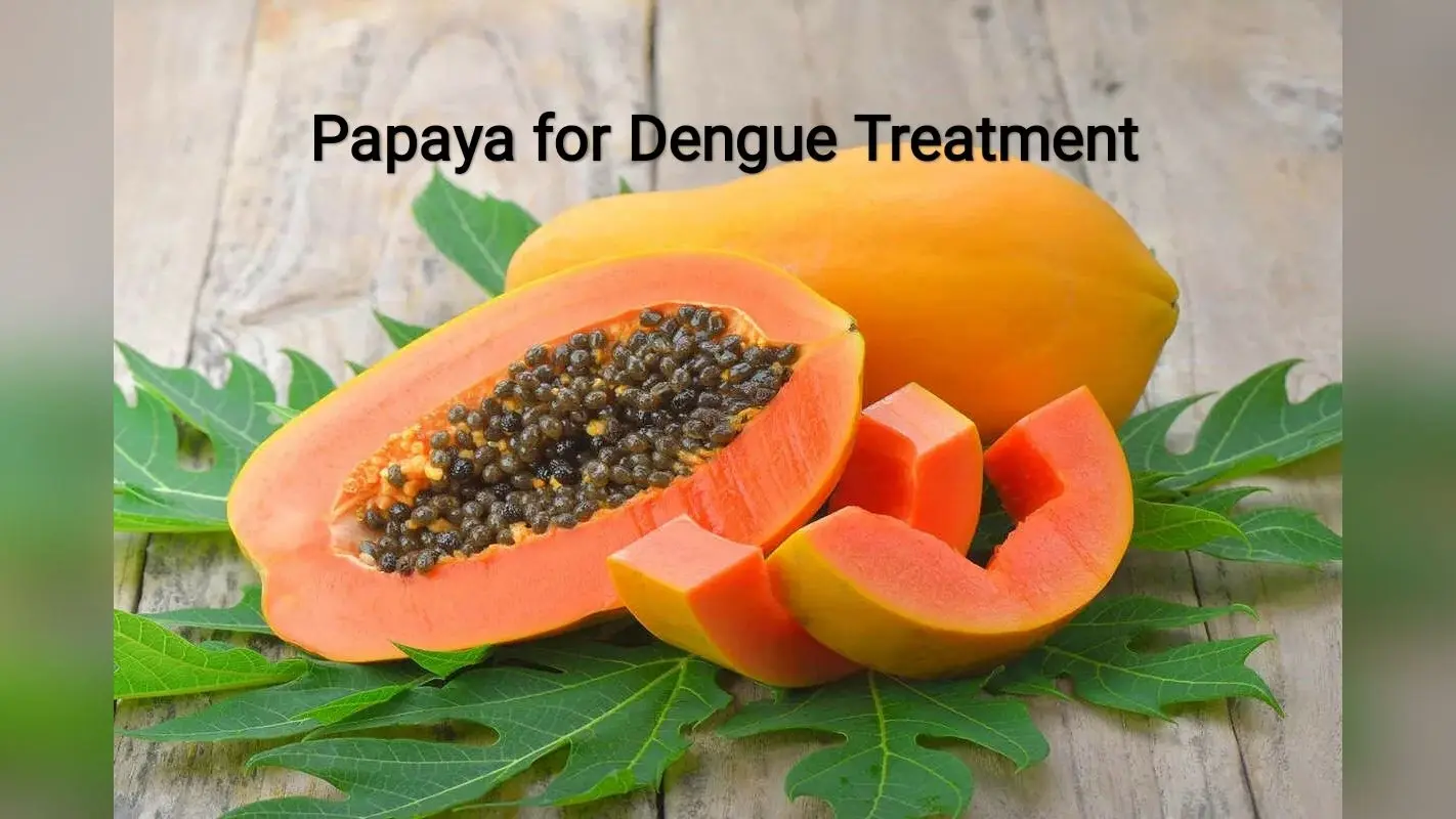 Papaya leaves in Dengue : पपीते के पत्तों में होते हैं डेंगू से लड़ने के गुण.