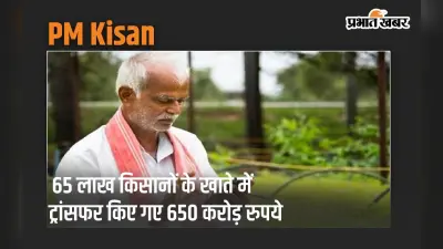 PM Kisan: 65 लाख किसानों के खाते में ट्रांसफर किए गए 650 करोड़ रुपये, जल्द चेक करें अकाउंट