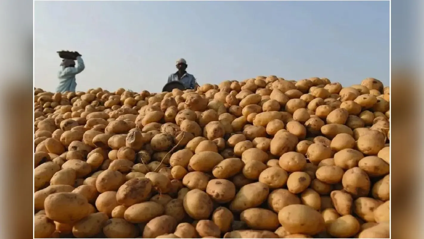Potato Price: बेकाबू सब्जी के राजा आलू को रसोई में लाने की तैयारी, बंगाल उठाने जा रहा कदम