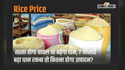 सस्ता होगा चावल या बढ़ेगा दाम, 7 फीसदी बढ़ा धान रकबा तो कितना होगा उत्पादन?