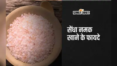 Rock salt benefits: सेंधा नमक से सर्दी और जुकाम का इलाज