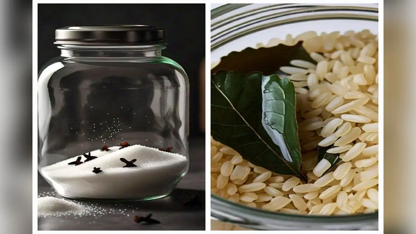 Monsoon Kitchen Tips: बरसात में ऐसे रखें सामग्रियों का ख्याल, नहीं लगेंगे कीड़े