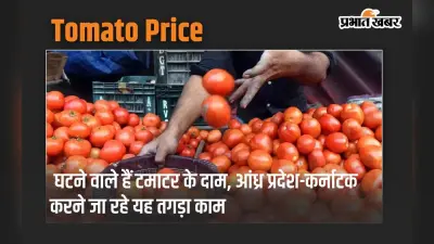 घटने वाले हैं टमाटर के दाम, आंध्र प्रदेश-कर्नाटक करने जा रहे यह तगड़ा काम