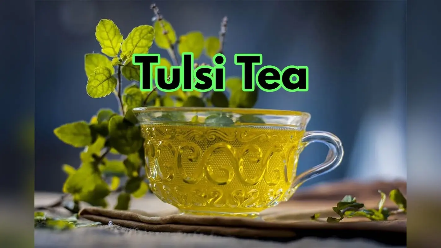 Tulsi Tea Benefits: रोज सुबह तुलसी की चाय पीने के 5 सबसे बड़े फायदे जानिए