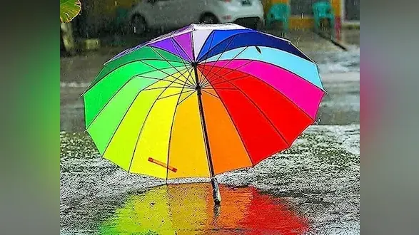 Monsoon umbrella collection: अम्ब्रेला का फैशन कलेक्शन, यहां देखें ट्रेंडी छाता