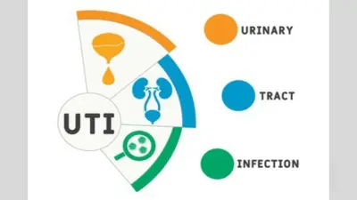 Urinary Tract Infection in Women : महीलाओं में क्यों कॉमन होता है यूटीआई ?
