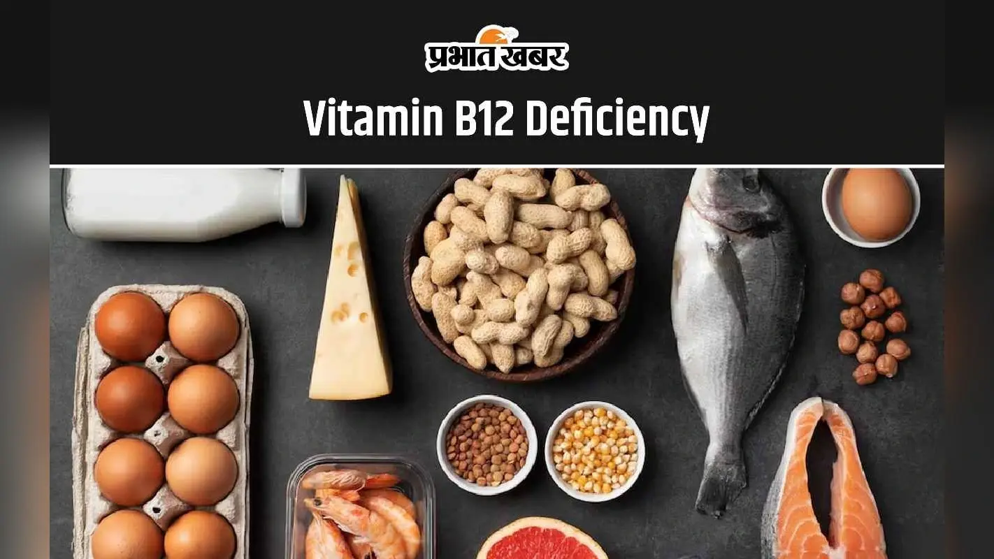 Vitamin B12 Deficiency: विटामिन B12 की कमी दूर करने के लिए खाएं ये 6 सुपरफूड्स, शरीर को मिलेगी बेशुमार ताकत