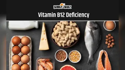 Vitamin B12 Deficiency: विटामिन B12 की कमी दूर करने के लिए खाएं ये 6 सुपरफूड्स, शरीर को मिलेगी बेशुमार ताकत
