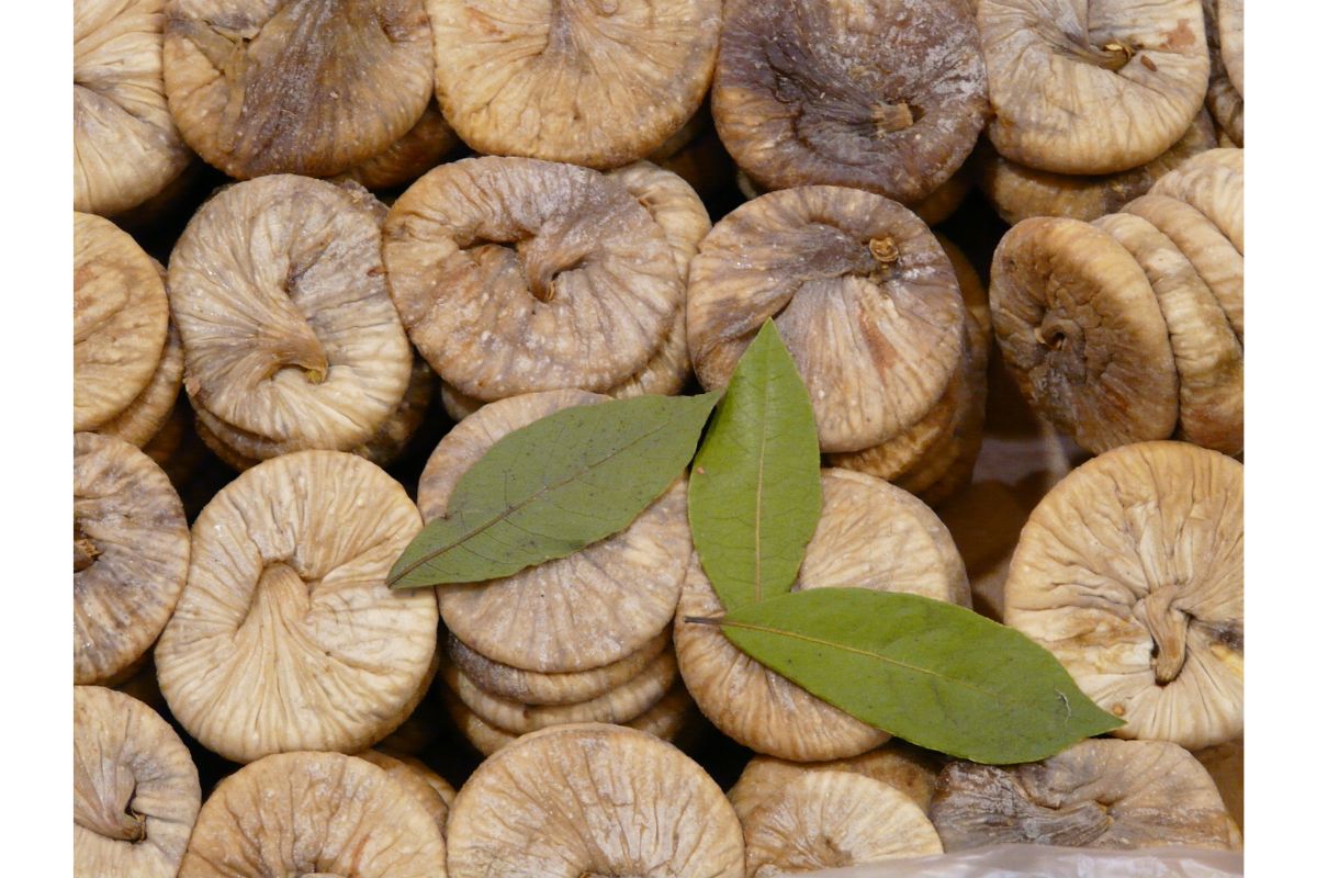 Fig benefits and side effects: अंजीर के फायदे और नुकसान