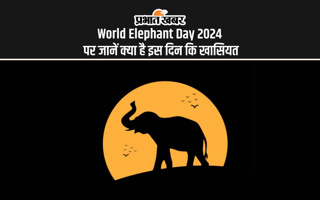 World Elephant Day 2024: विश्व हाथी दिवस पर आज जानें क्या है इस दिन का इतिहास, महत्व और इस साल की थीम