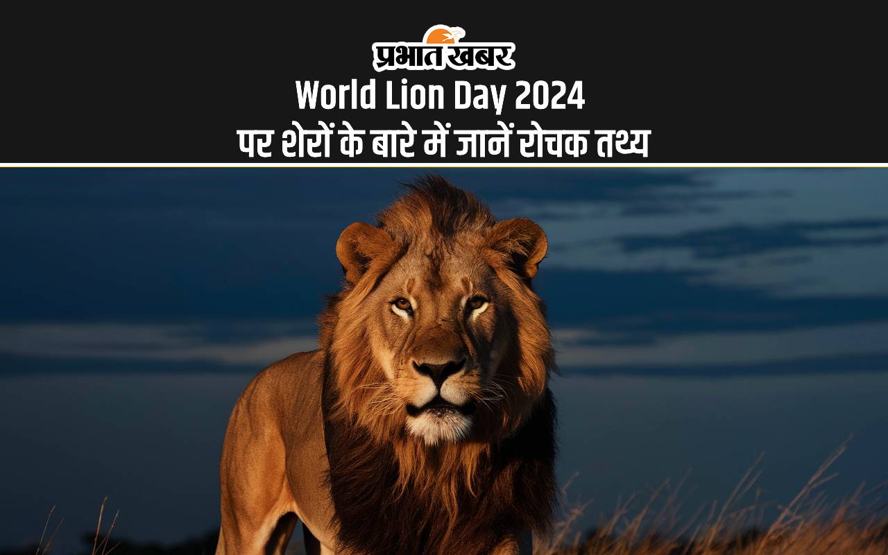 World Lion Day 2024: आज विश्व शेर दिवस पर जानें इस दिन का इतिहास, जानें जंगल के राजा के बारे में रोचक तथ्य
