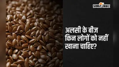 Avoid Flax Seeds: अलसी के बीज का सेवन इन 4 लोगों को नहीं करना चाहिए, जानिए इसके नुकसान