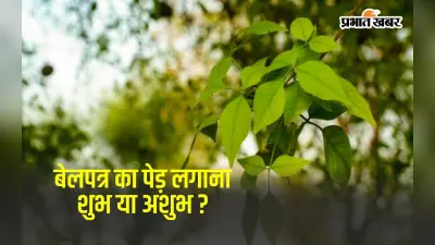 Bel Patra Tree Benefits: बेल पत्र का पेड़ लगाने के 5 फायदे, ये बातें जानकर चौंक जाएंगे आप