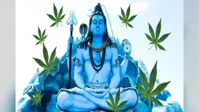 Bhang Benefits: शिव जी को चढ़ने वाला ”भांग” खाने के ये हैं 6 अद्भुत फायदे
