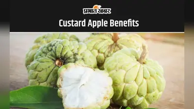 Custard Apple Benefits: शरीफा खाने के ये हैं 5 सबसे अद्भुत फायदे