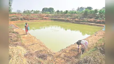 ओडिशा में किसानों के लिए वरदान बनी खेत तालाब योजना, भू-जल स्तर नियंत्रित करने और मिट्टी संरक्षण में मददगार