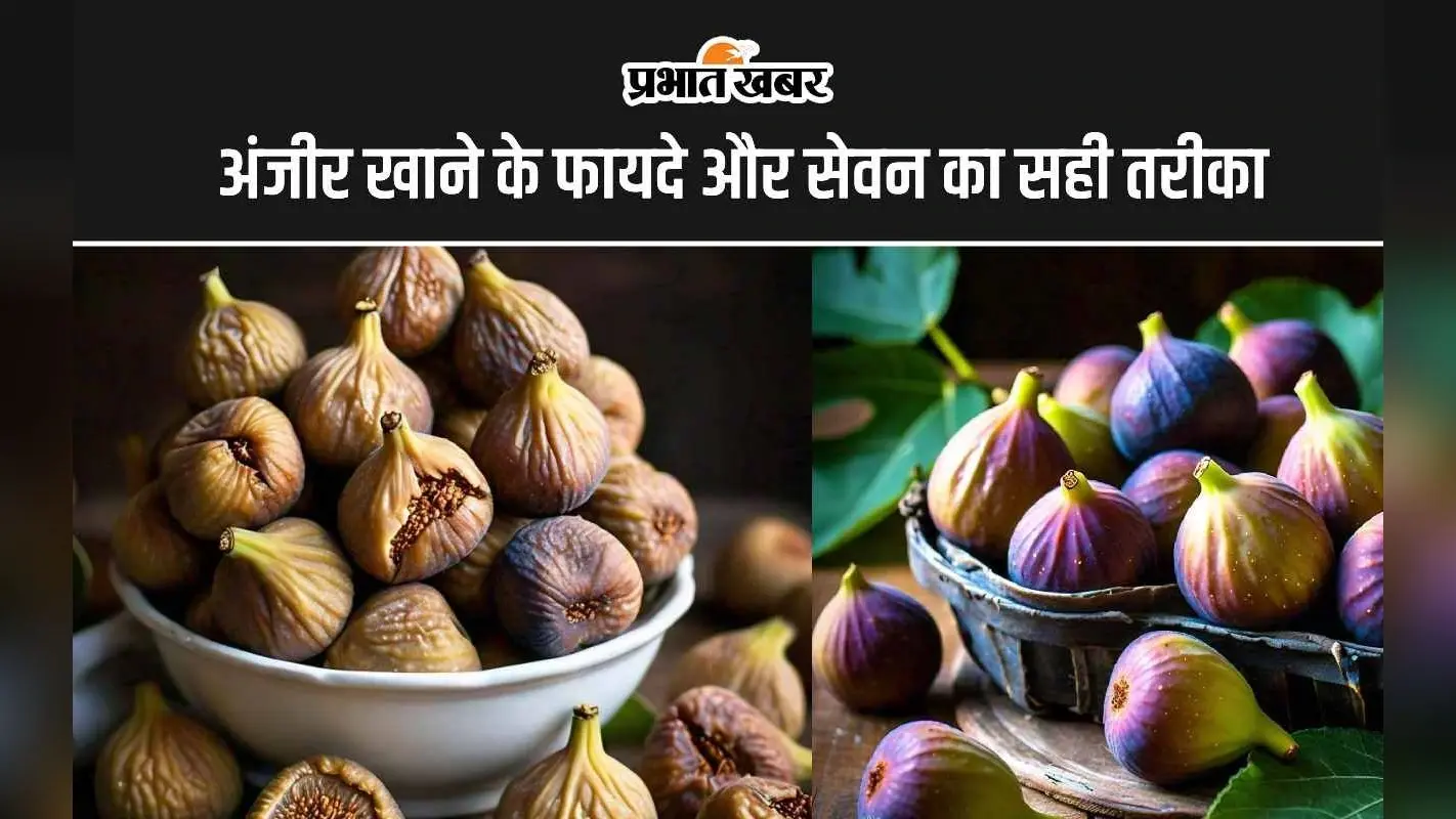 Figs Benefits: क्या आप भी हेल्दी रहने के लिए खाते हैं अंजीर? जानिए इसके सेवन का सही तरीका