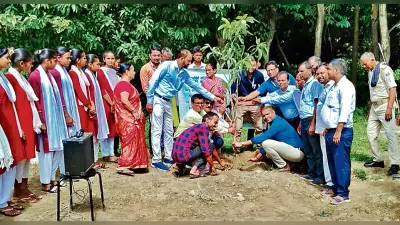 हेल्दी लाइफ व पर्यावरण संरक्षण को ले पौधरोपण जरूरी