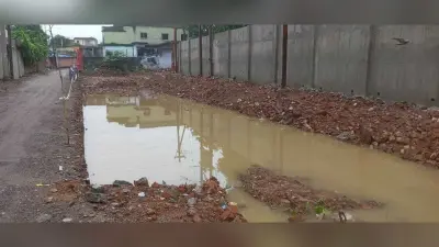 जेम्को मिश्रा बागान में जगह-जगह जल जमाव, डेंगू को लेकर सहमे लोग