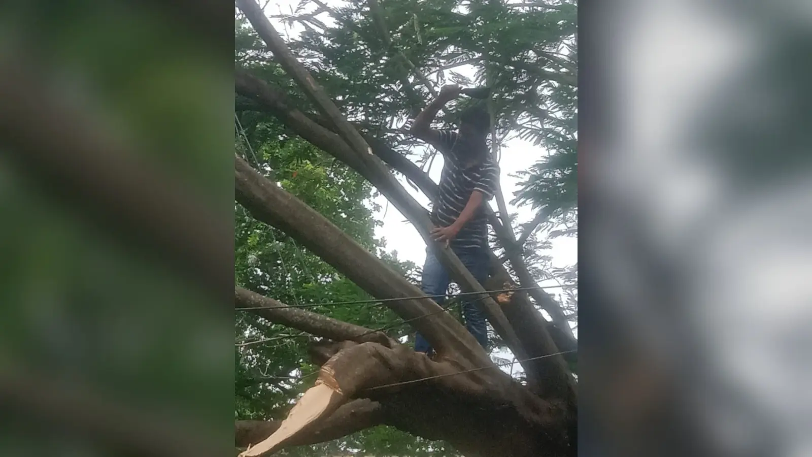 आंधी-बारिश से बेपटरी हुई बिजली व्यवस्था, दूसरे दिन भी अधिकांश मुहल्लों में छाया अंधेरा